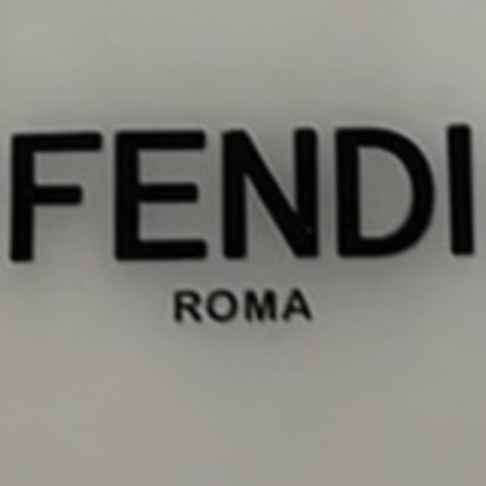 Fendi Raincoat for your Bag !